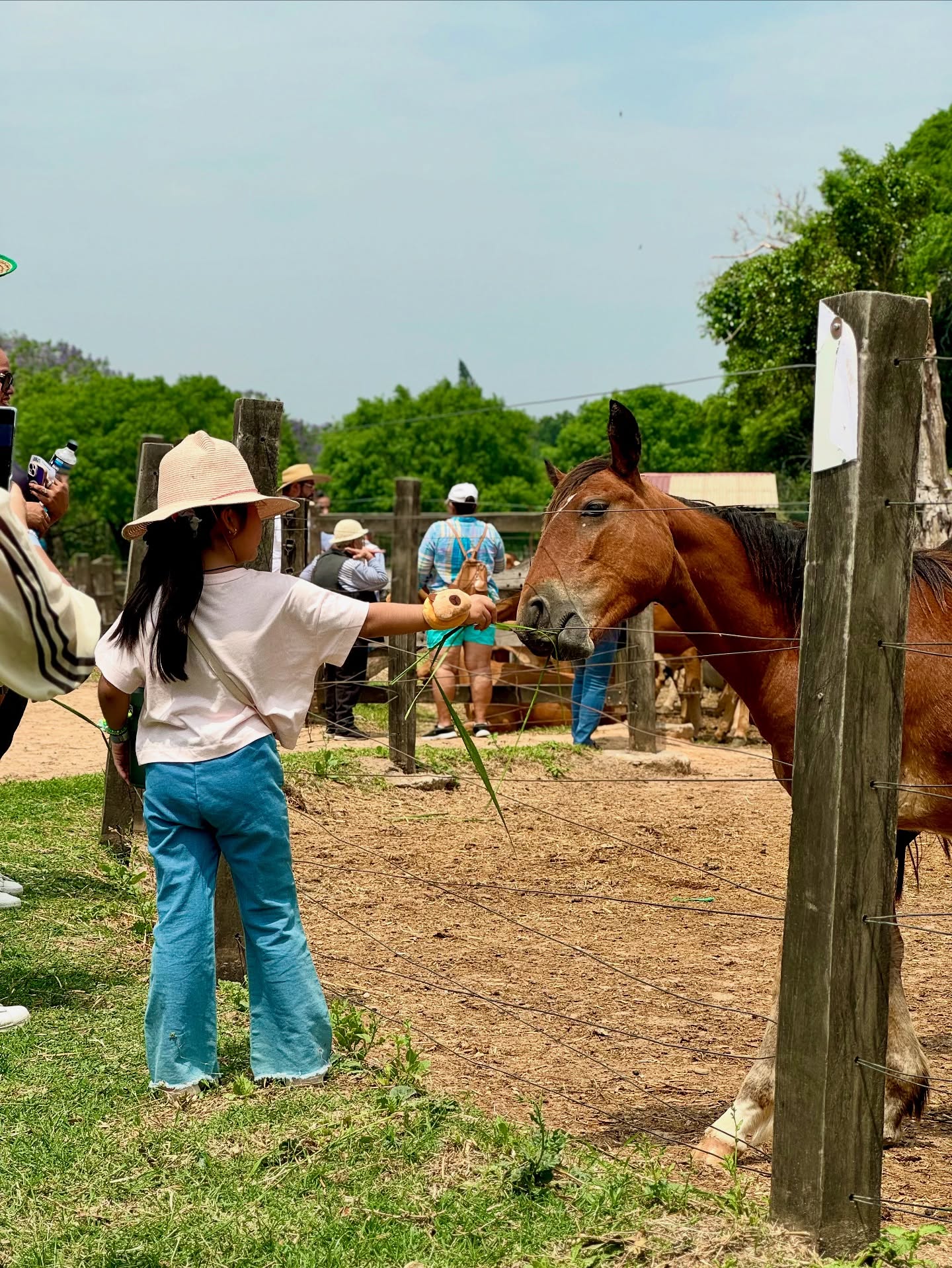 La Hacienda Patiño: un laboratorio vivo de agroecología en Bolivia 