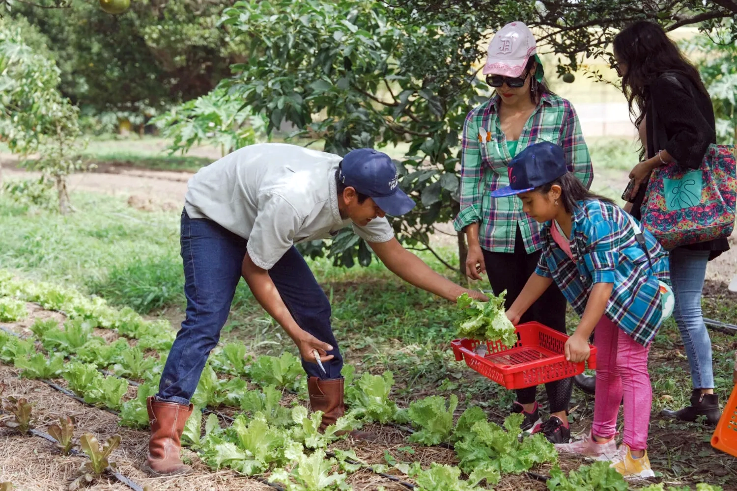 Agroecología y soberanía alimentaria en Bolivia