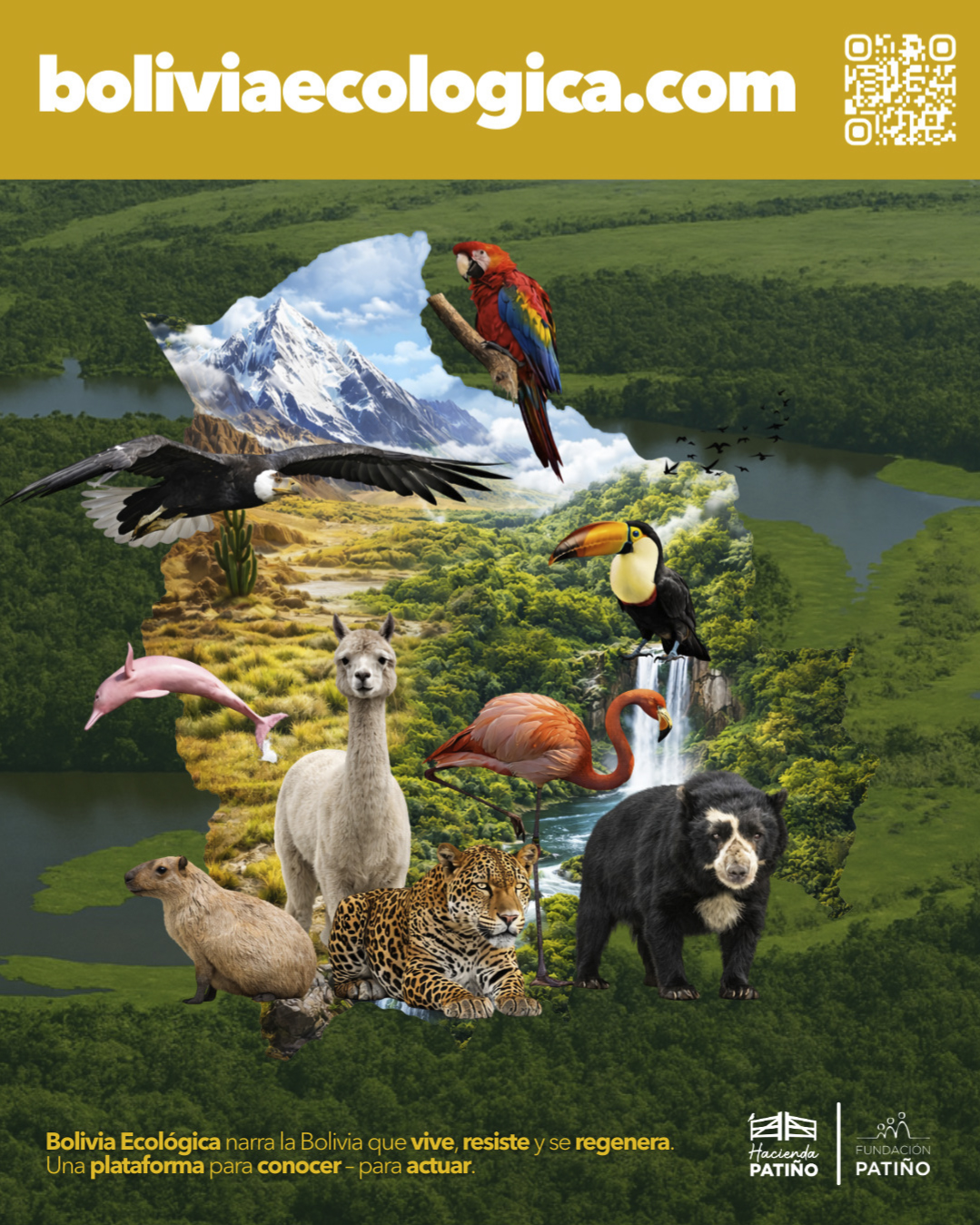 Bolivia Ecológica se Renueva