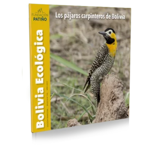 Nº106 Los Pájaros Carpinteros de Bolivia