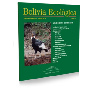 Nº89 Rapaces de Bolivia: El Cóndor Andino