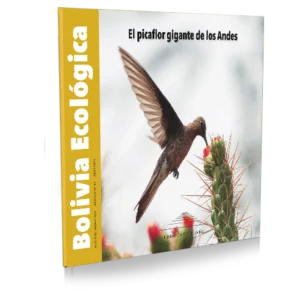 Nº97 El Picaflor Gigante de los Andes